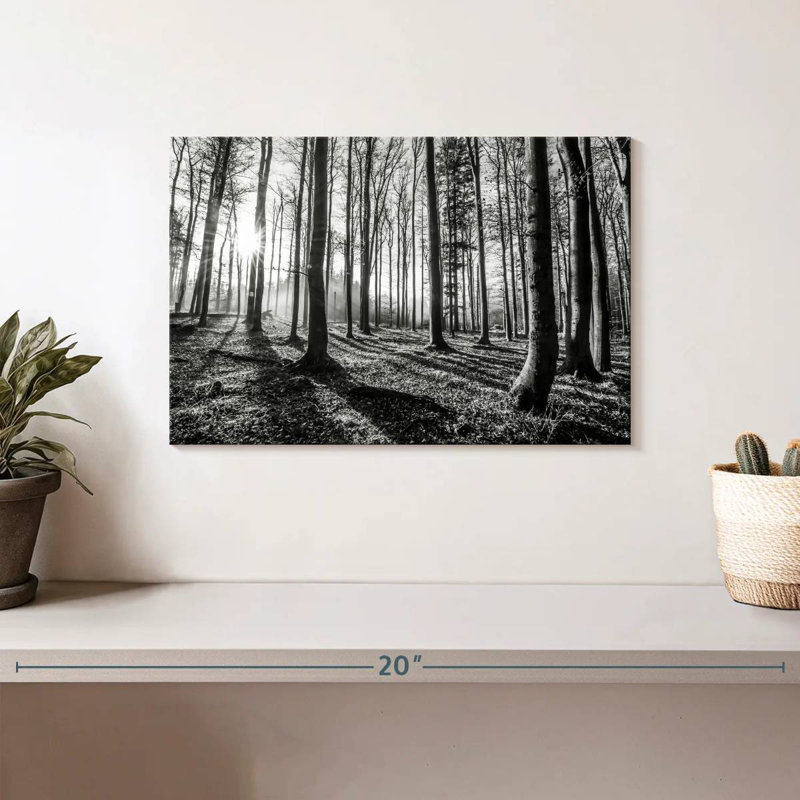 Harnek Forest Sunshine BW, H 8 po x l 12 po