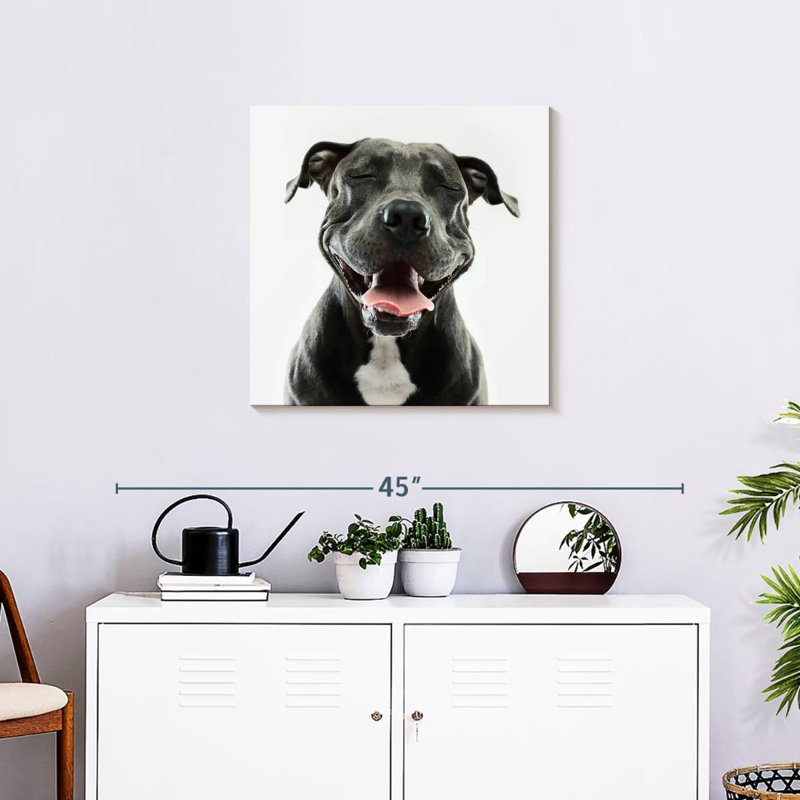 Crowle Smiling Black Pitbull