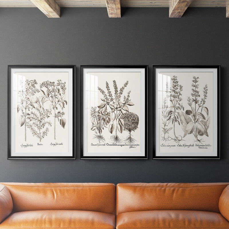 Sépia Besler Botanicals I - ensemble de 3 reproductions de cadres photo, H 61 po x l 42,5 po x P 2,5 po, Cadre noir