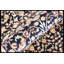 Walton Hand Woven Wool Oriental Area Rug