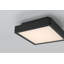 Plafonnier Patrol Q, 15 W, finition noire