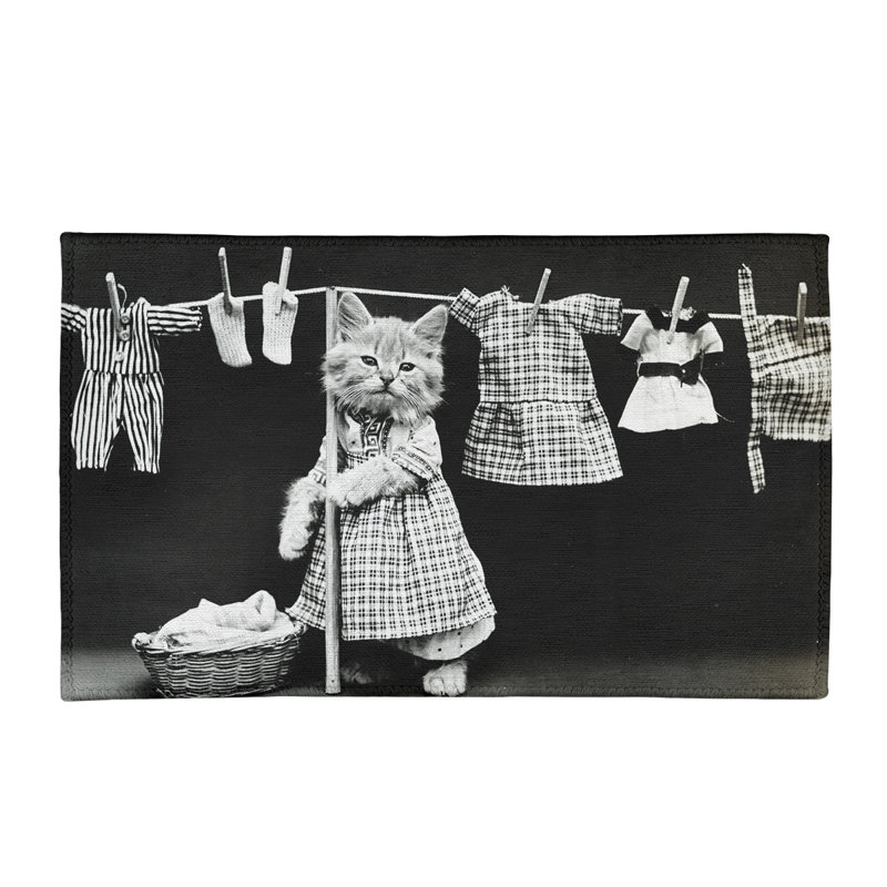 Tapis noir / gris Kitten Doing Laundry, Rectangle 2 pi x 3 pi