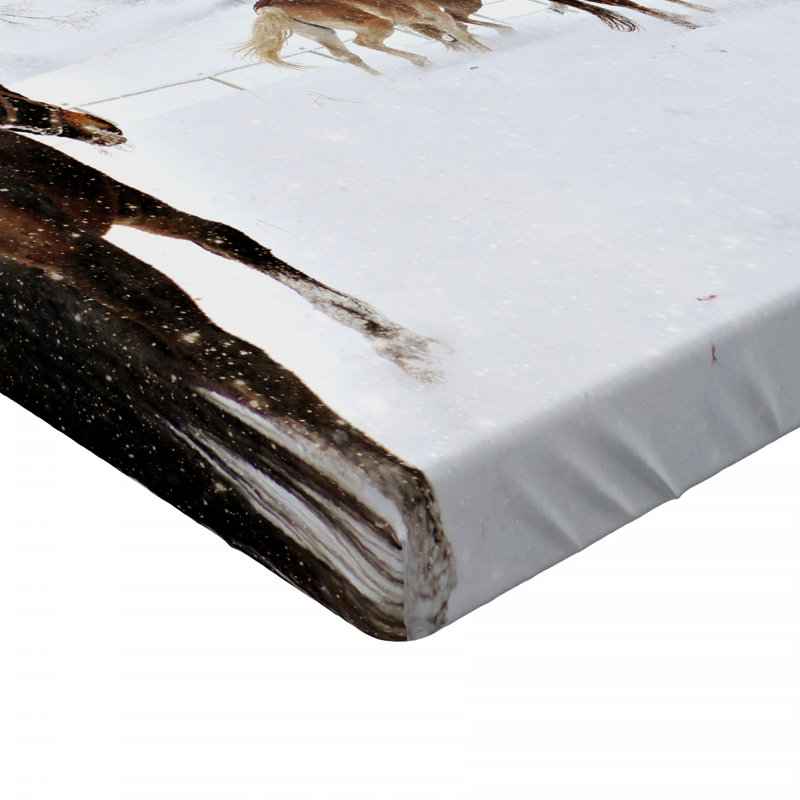 Microfiber Fitted Sheet, Twin XL Fitted Sheet