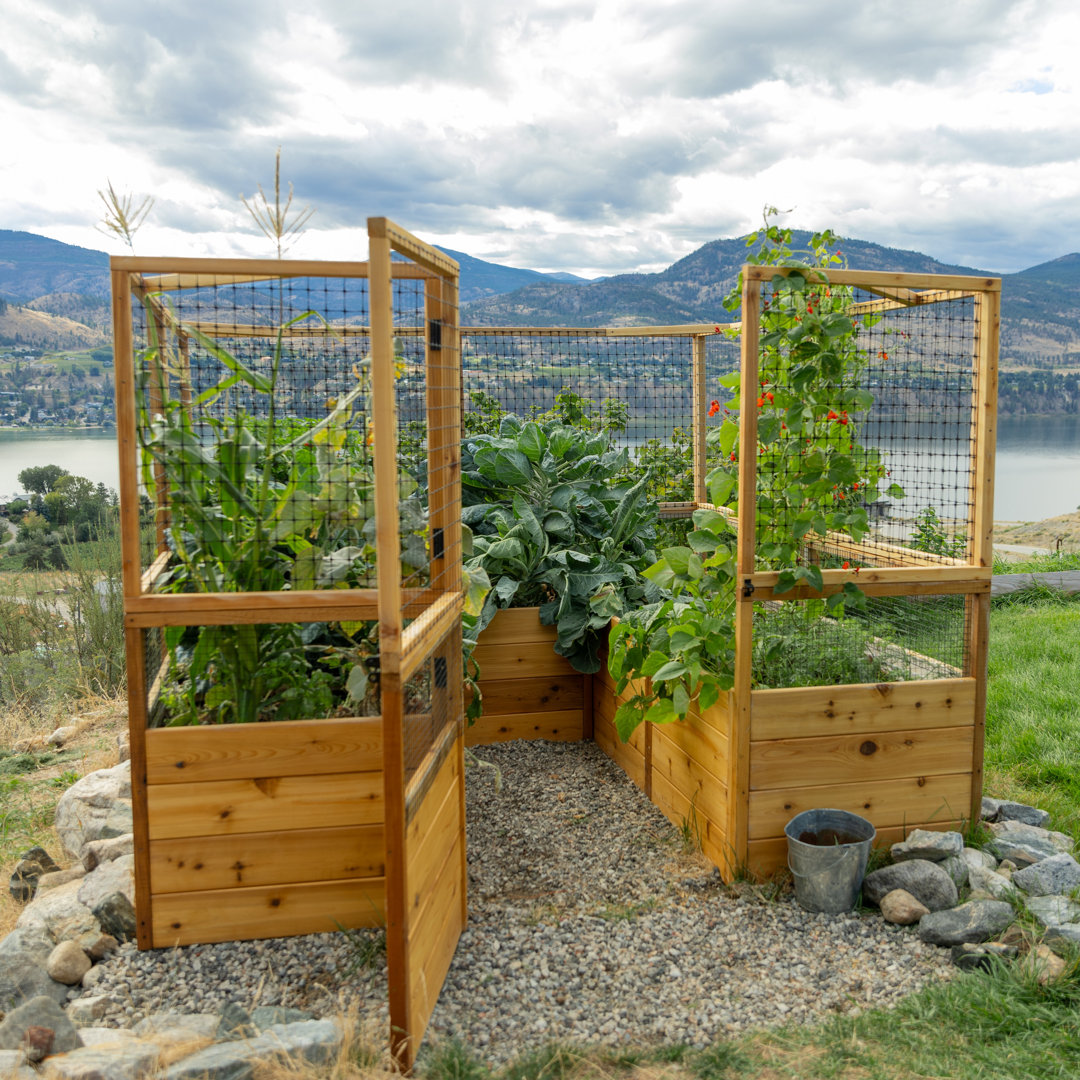 Outdoor Living Today 8x8 Western Red Cedar Raised Garden Bed with Deerfence Outdoor Living Today 