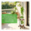 Plant Stand
