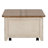 Harlowe Storage Trunk