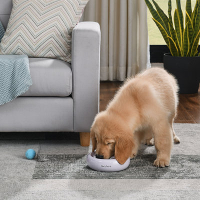 Sam's Pets Short Tulip Pet Bowl In Glossy