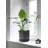 Garbani Ceramic Pot Planter