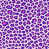 Medium Purple Medium Pink
