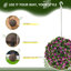 28 cm H Faux Topiary Plant-2022570631