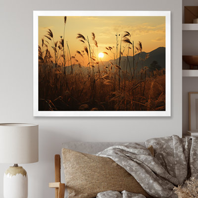 " Field With Sunset "