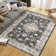 Sofije Washable Indoor Rug