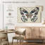 Baiser de papillon I-1469371256-1469371238
