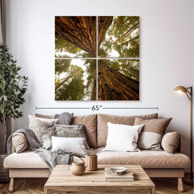 Arbres séquoia Alvord