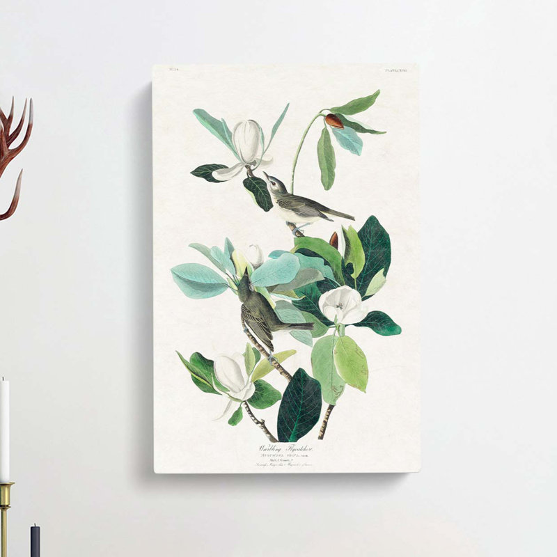 Warbling Flycatcher Birds by John Audubon - Wrapped Canvas, 60cm H x 40cm W x 3cm D