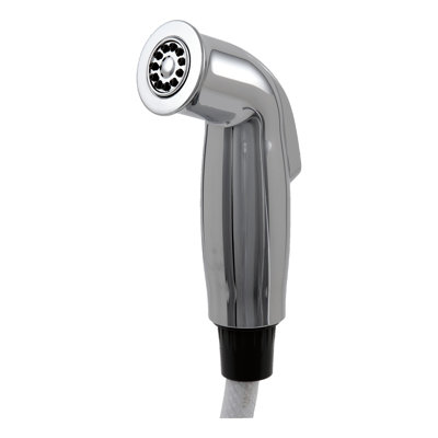 Side Spray and Hose Assembly