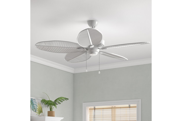 ceiling fans