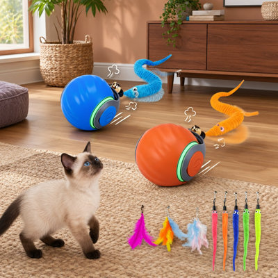 Ce paquet de 2 orange + bleu contient des balles de jouets interactives rechargeables avec 8 queues de vers et de plumes remplaçables pour chasser et enrichir l'intérieur des chats.