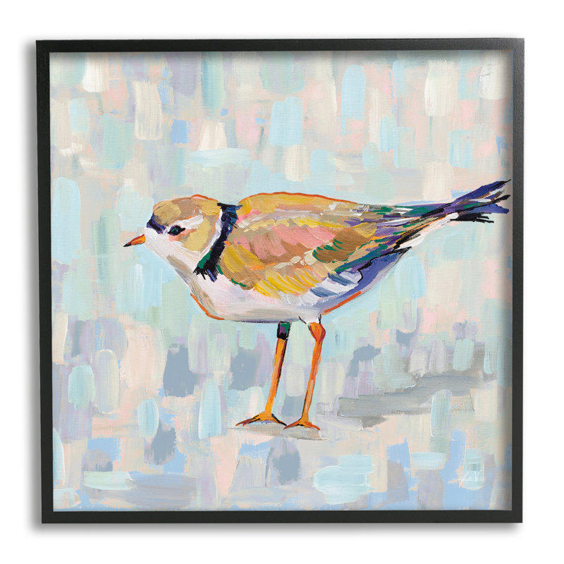 Pluvier côtier abstrait avec patchwork d'oiseaux par Jeanette Vertentes - Peinture sur bois, Giclée encadrée noir minuit
