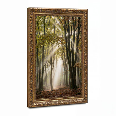 Toile de soleil à travers de grands arbres dans une forêt brumeuse, art mural