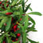 Faux Plastic 60cm Wreath