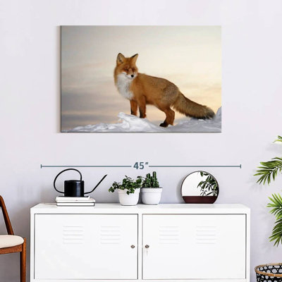 Renard majestueux Brampt