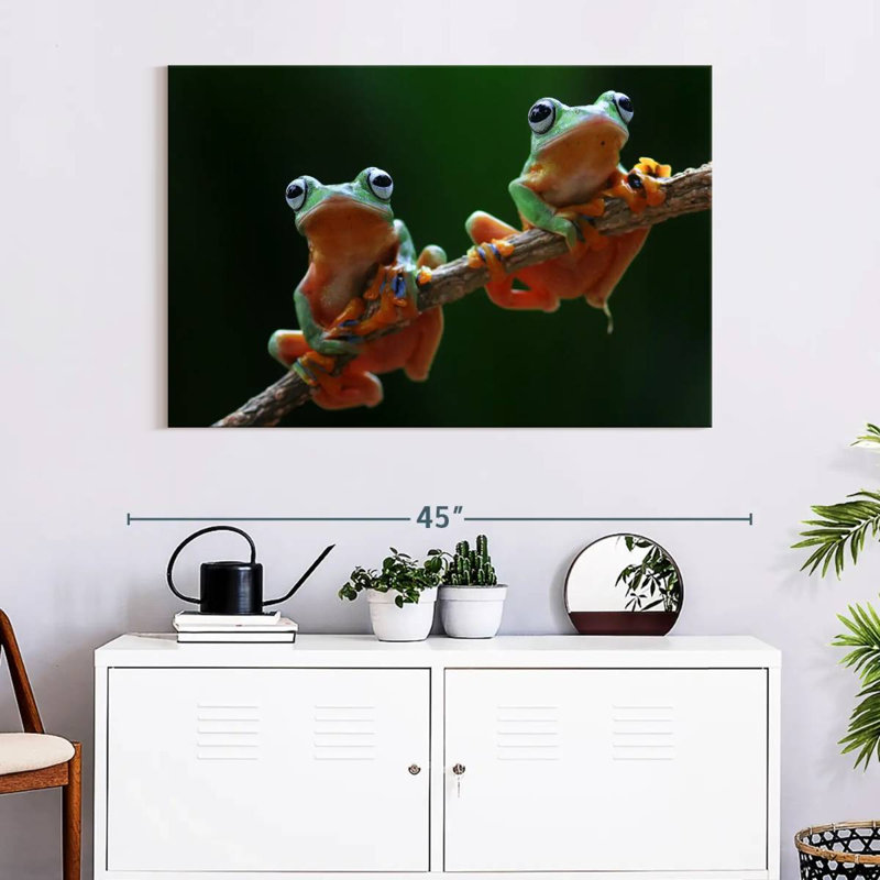 Two Wallace's Flying Frogs, 26" H x 39" W