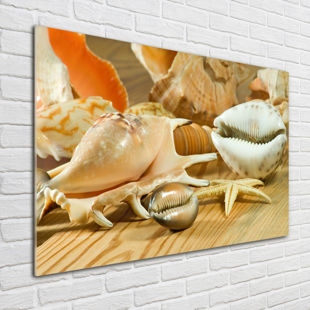 Glasbild Shells On Wood