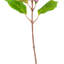 20" Hydrangea Stem. Each bag contains two sprays.-1981201970