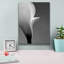 «Calla No. 5» par PhotoINC Studio-1774682595