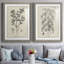 Antique botanique noir et blanc antique - ensemble de 2 reproductions d'art-686391210-686387519-672527106