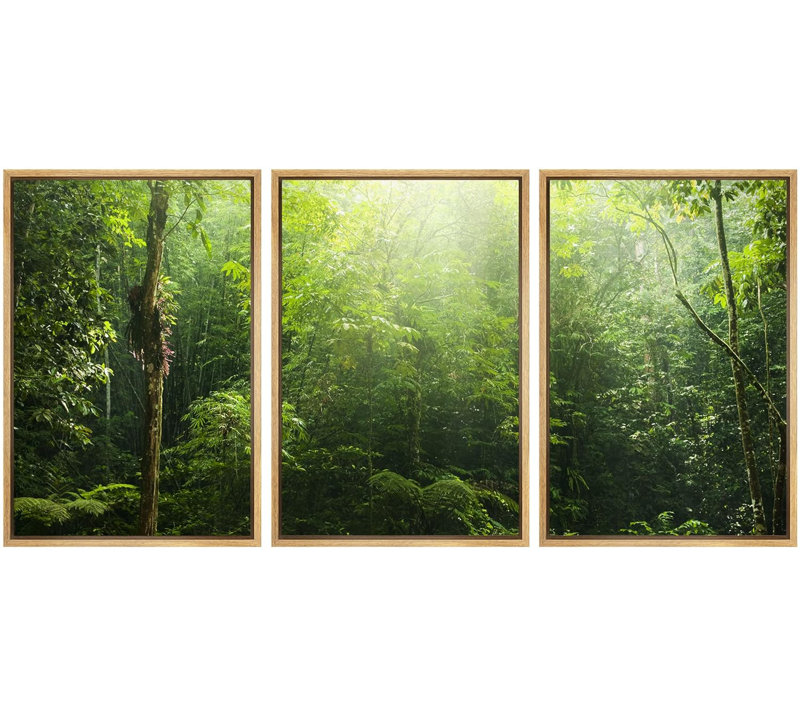 Rayon de soleil sur une forêt verdoyante Nature Photographie Réalisme Rustique, H 24 po x l 48 po, Cadre naturel flottant
