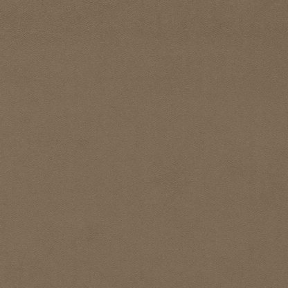 Wardle Velvet Fabric