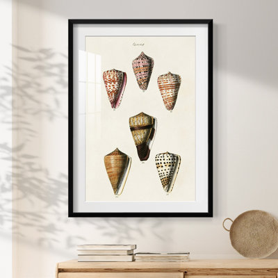 Kimsey -Gallery Wrapped Canvas