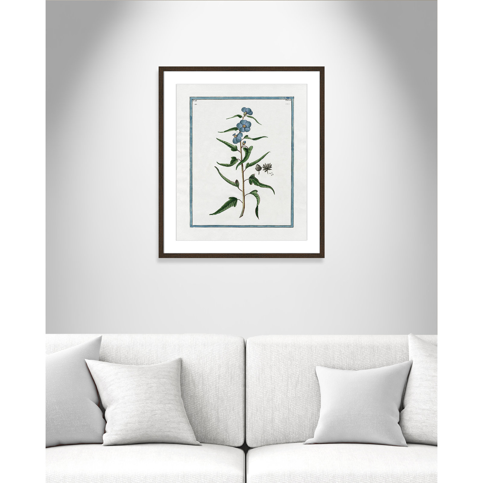 Colombe "Shabby Elegance Botanical I" Print, 21.5" W x 25.5" H, Walnut Framed