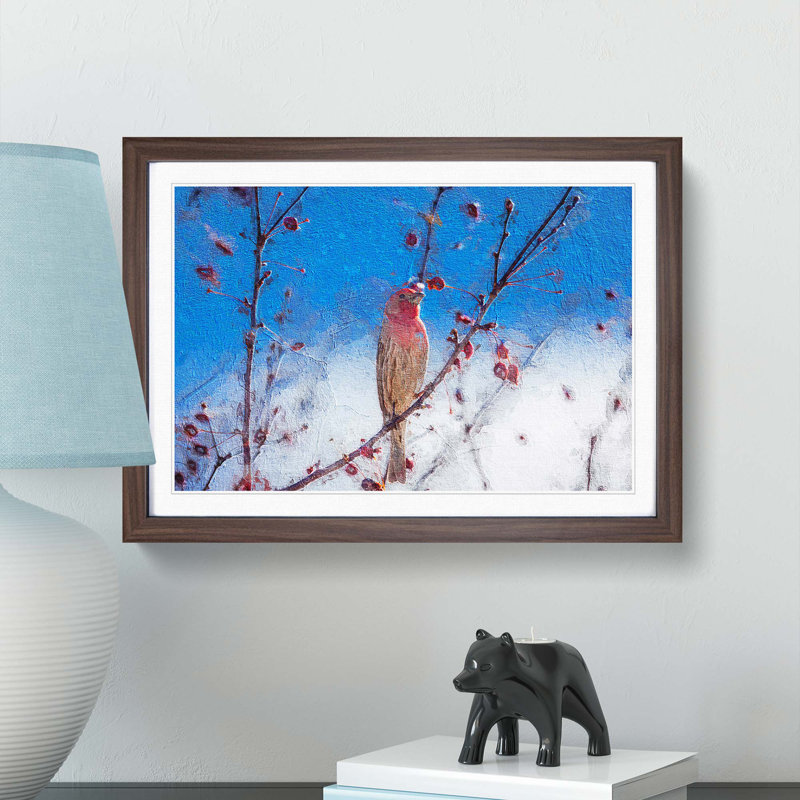 House Finch Bird - Framed Print, Walnut Framed, 36cm H x 48cm W x 2cm D