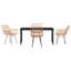 5 Piece Garden Dining Set Poly Rattan-1044892522-1044892523