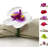 Plastic, Fabric Napkin Ring-1241803981
