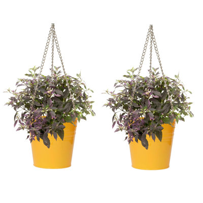 Arnkell Metal Hanging Planter