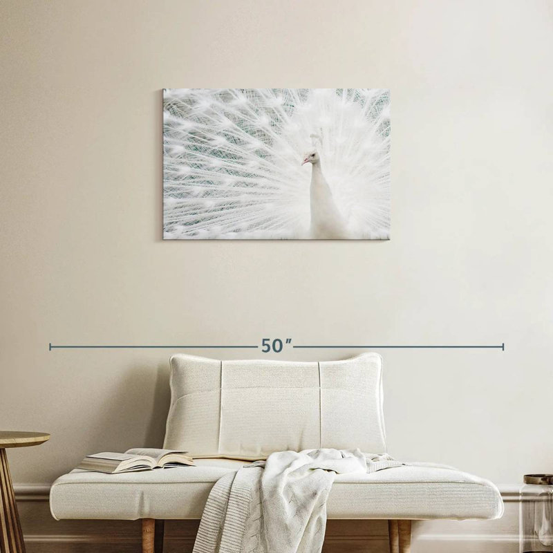 Plume de paon blanc neige Brampt, H 20 po x l 30 po