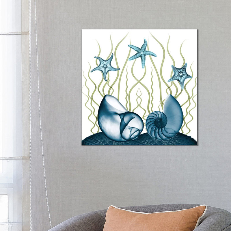 Majestic Sea Floor II by Albert Koetsier - Print on Canvas, 66.04cm H x 66.04cm W x 1.91cm D, Wrapped Canvas