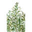 Orom II Collection Green Branched Leaves 62.5-inches wide x 9.18-feet high 3-panel Wall Mural