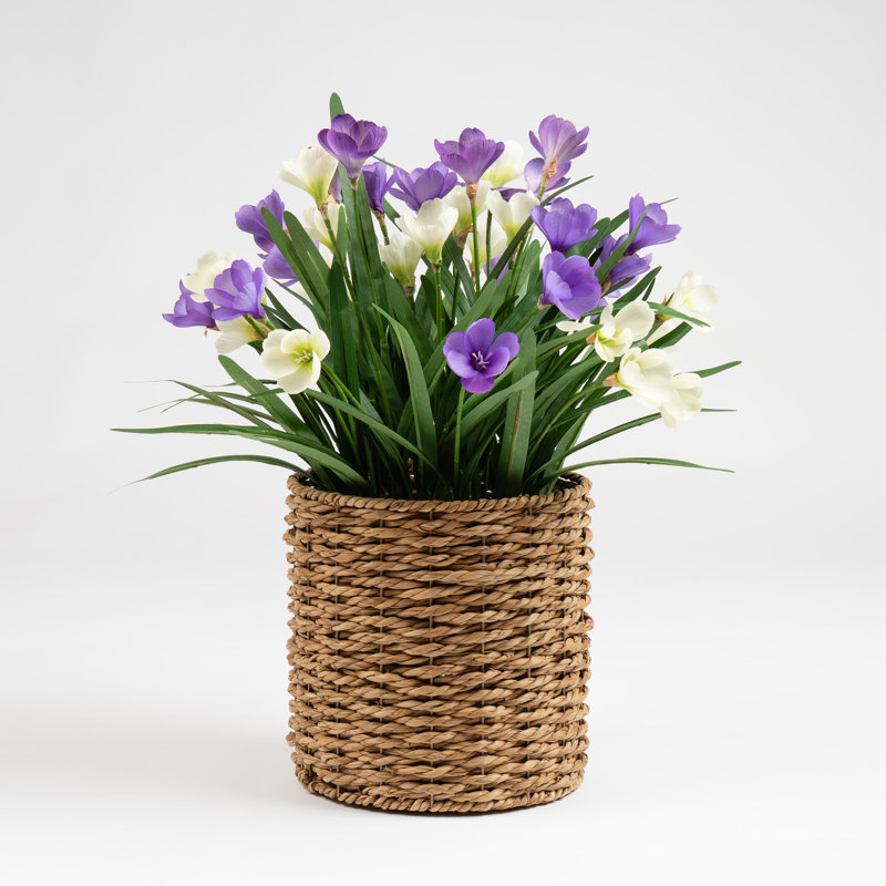 58cm Faux Crocus in Seagrass Basket