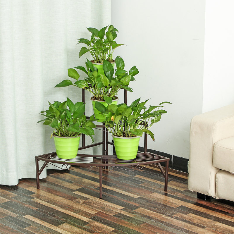 Plant Stand, Coffee