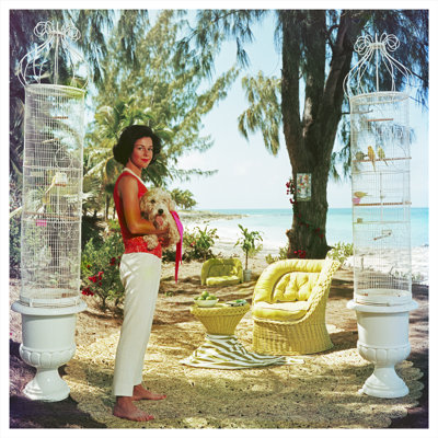 Gloria Schiff Print by Slim Aarons