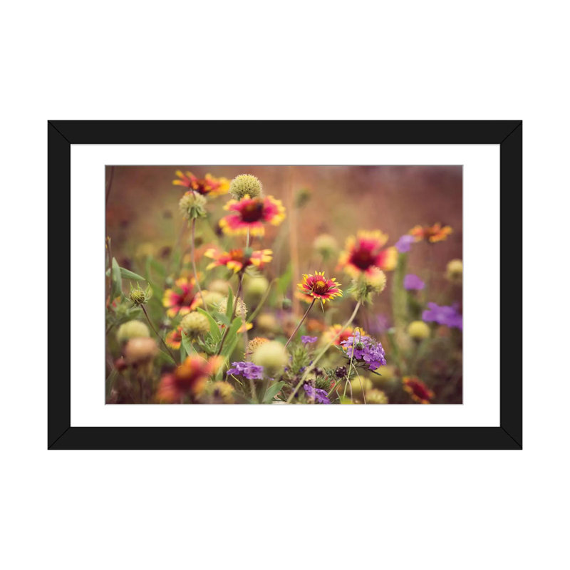 «Wild Blooms IV» par Sonja Quintero - reproduction de photo sur toile, Papier avec cadre noir, Blanc
