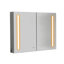 Armoire de salle de bain lumineuse à DEL avec miroir