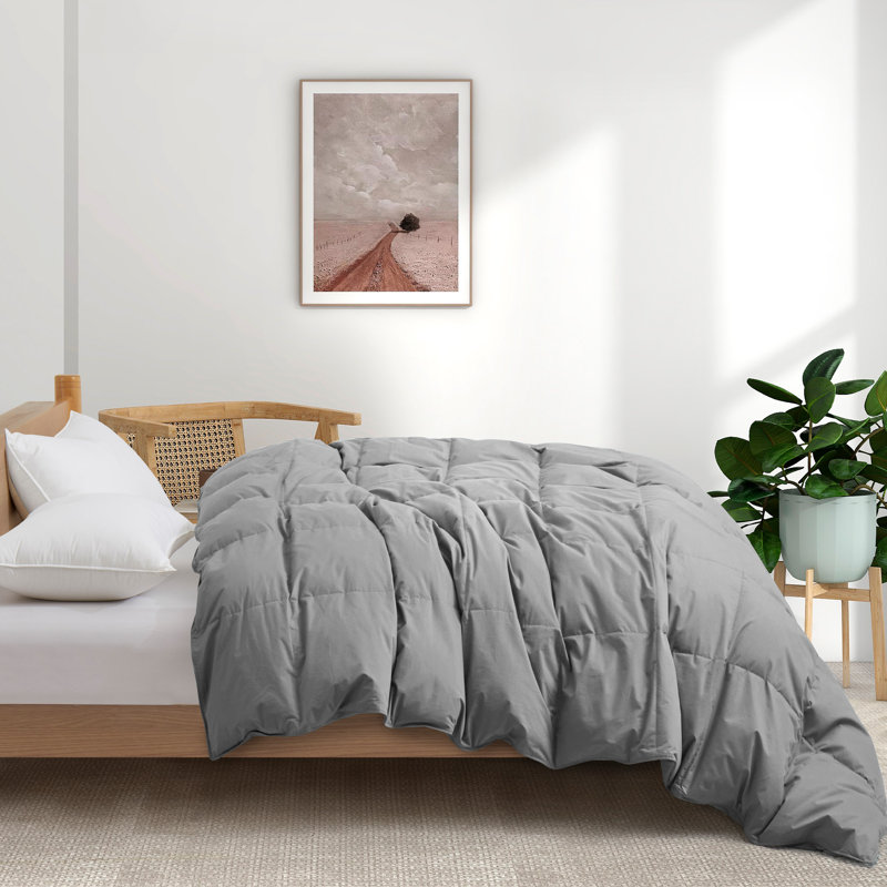 All Season Cotton Down Comforter/Duvet Insert, Gray, Twin Comforter