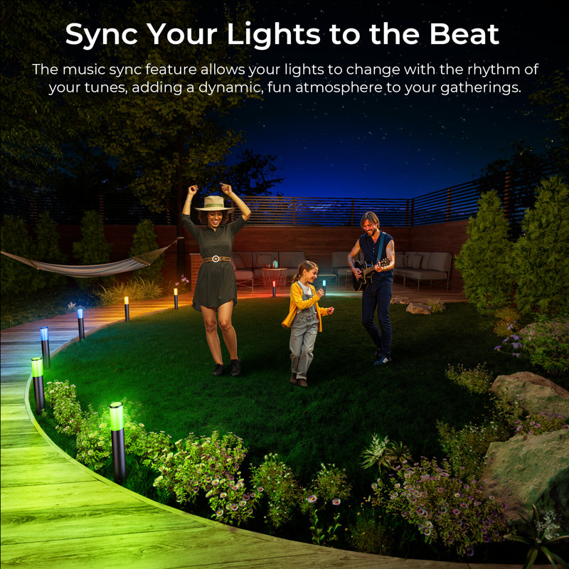 Matte Black Plug-in Integrated LED Pathway Light