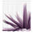 Aubergine est en rupture de stock
